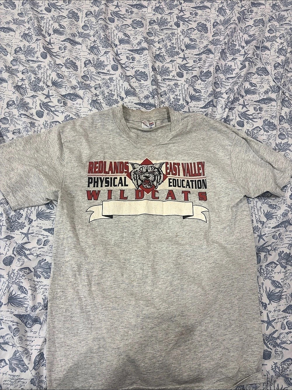 Hanes Men's Graphic Tee Size Medium Gray Red
